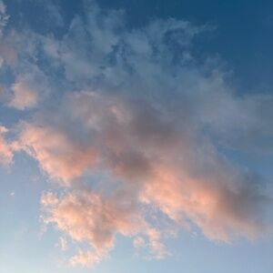 Meet your Posher, Leah